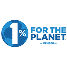 Watch the webinar